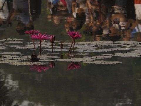 幸运之门开启
